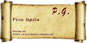 Picu Gyula névjegykártya